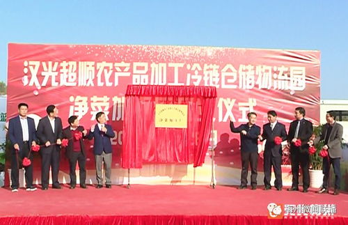 五華農(nóng)產(chǎn)品冷鏈倉儲(chǔ)物流園凈菜加工廠投產(chǎn)，助推農(nóng)產(chǎn)品初加工服務(wù)升級(jí)
