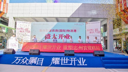 忠縣農(nóng)產(chǎn)品物流港盛大開業(yè)，一站式初加工服務(wù)賦能農(nóng)產(chǎn)品流通體系現(xiàn)代化