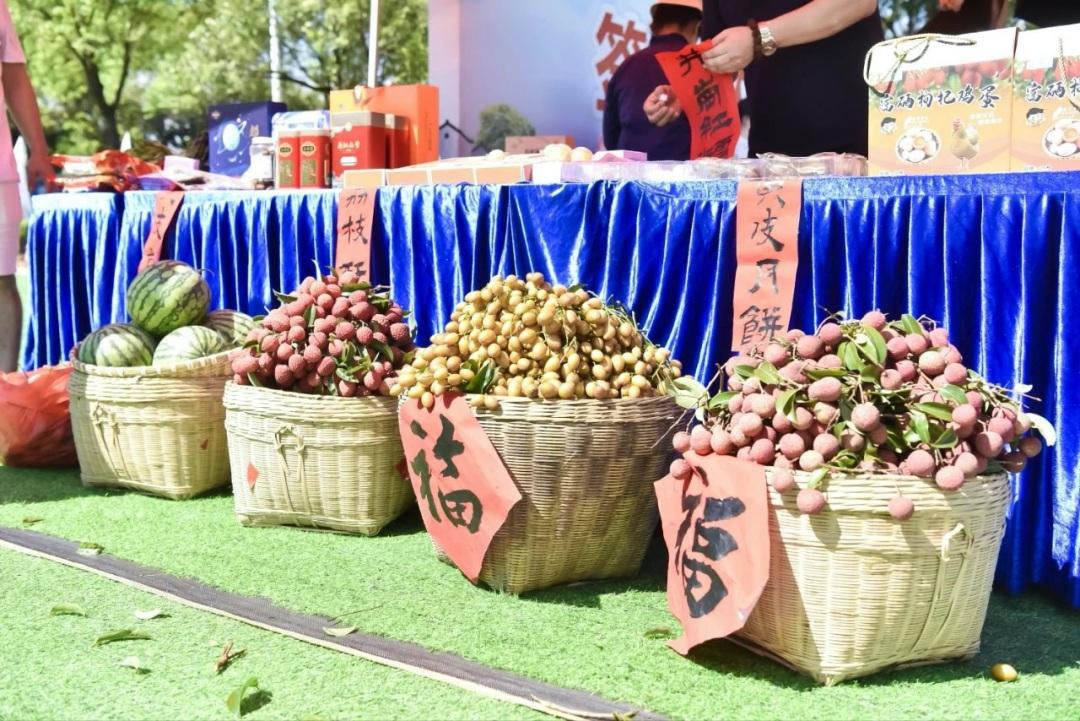 黃皮飄香，產(chǎn)業(yè)升級(jí)——從化區(qū)城郊街黃場村第二屆黃皮文化節(jié)7月2日盛情啟幕